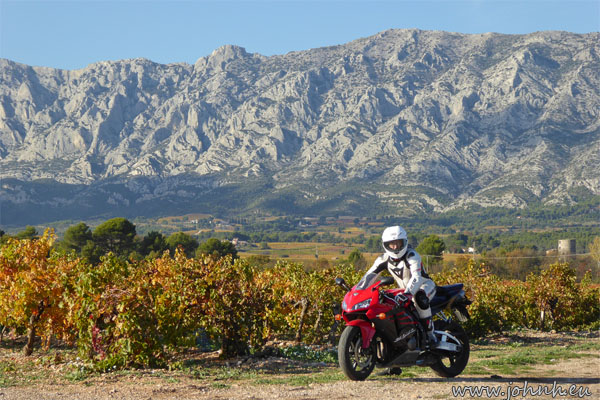 Autumn colours in the vineyards around Puyloubier (Var)