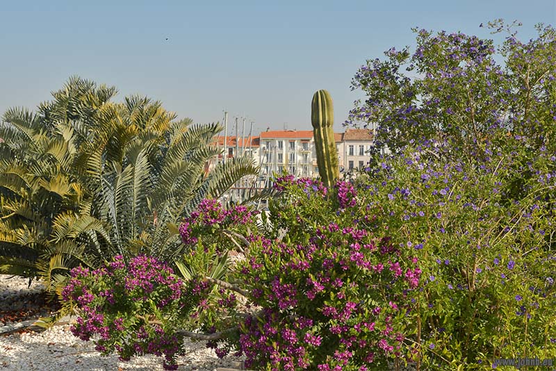 Saint-Raphaël, Côte d’Azur