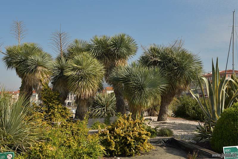 Saint-Raphaël, Côte d’Azur