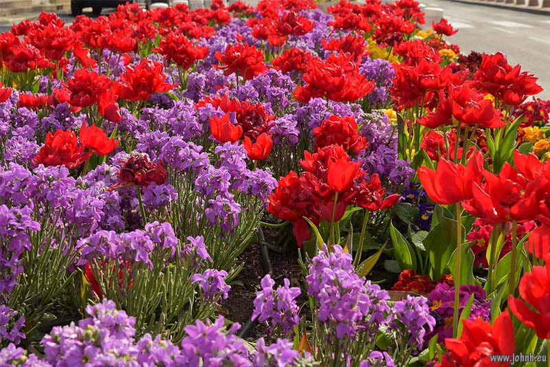 Saint-Raphaël, Côte d’Azur