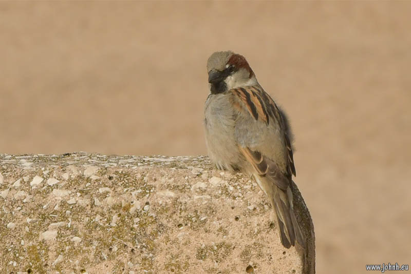 Saint-Raphaël, Côte d’Azur