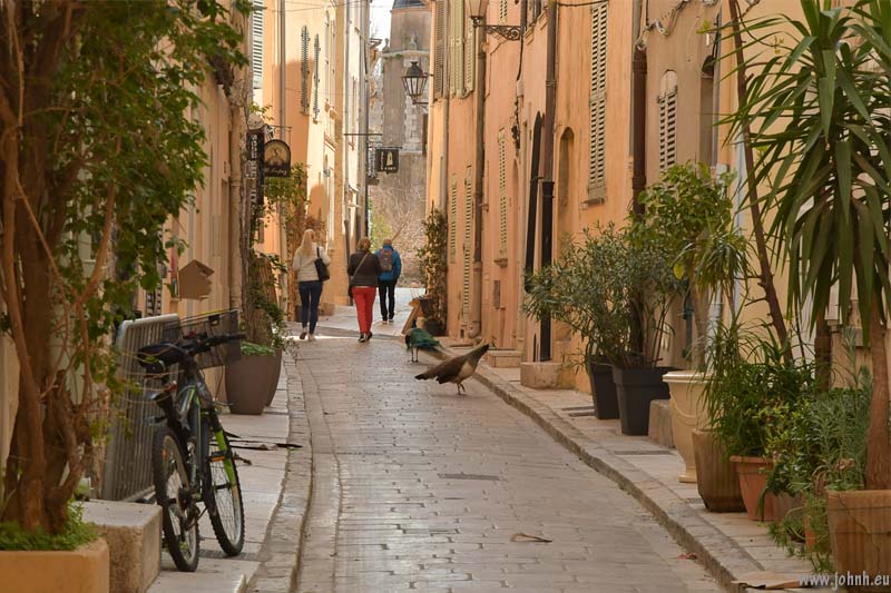 St.Tropez - Côte d'Azur
