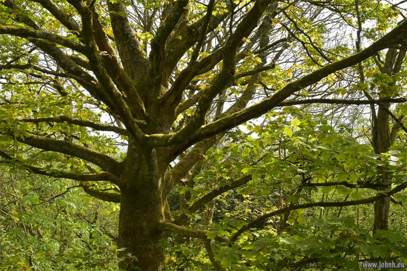 Hollingbury, South Downs National Park, Sussex