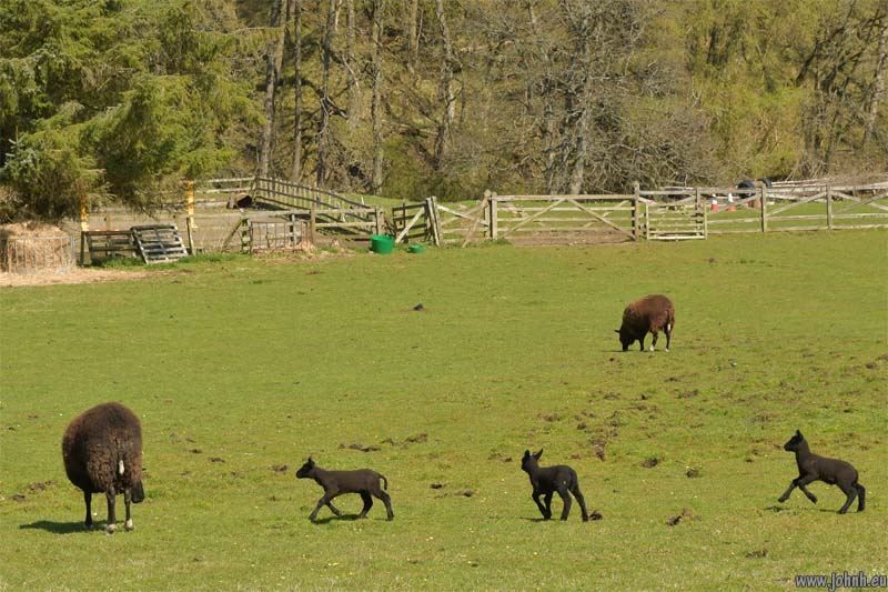 Weardale, North Pennines
