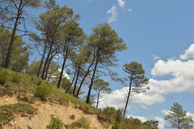 Le Mont-Sainte-Baume, Provence
