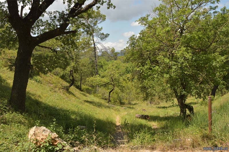 Le Mont-Sainte-Baume, Provence