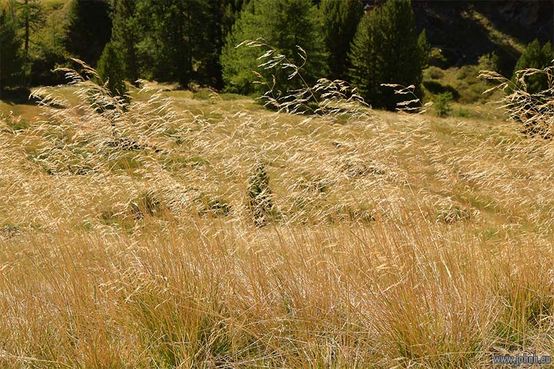 Haute Vallée de la Clarée - Alpes-de-Haut-Provence