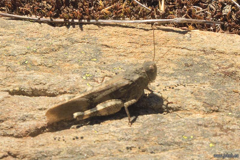 Haute Vallée de la Clarée - Alpes-de-Haut-Provence