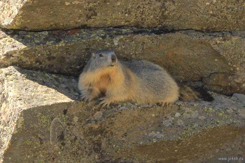 Haute Vallée de la Clarée - Alpes-de-Haut-Provence