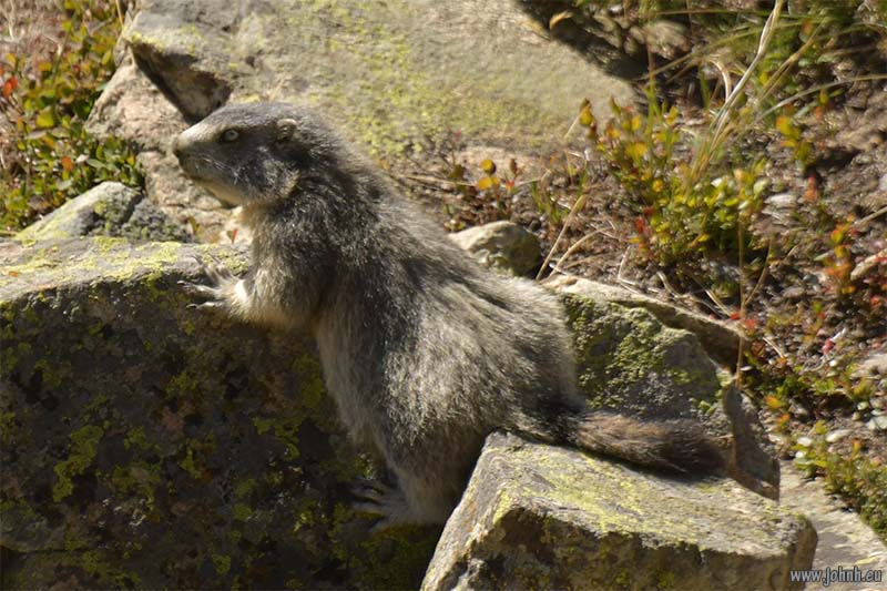 Haute Vallée de la Clarée - Alpes-de-Haut-Provence