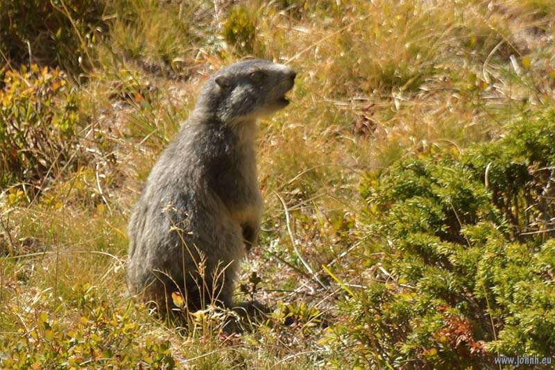 Haute Vallée de la Clarée - Alpes-de-Haut-Provence