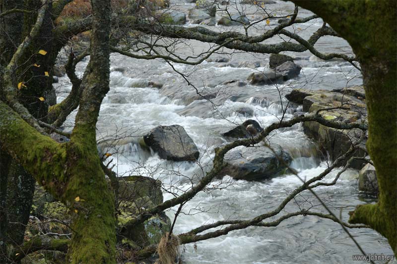 Langstrath Beck - Cumbria