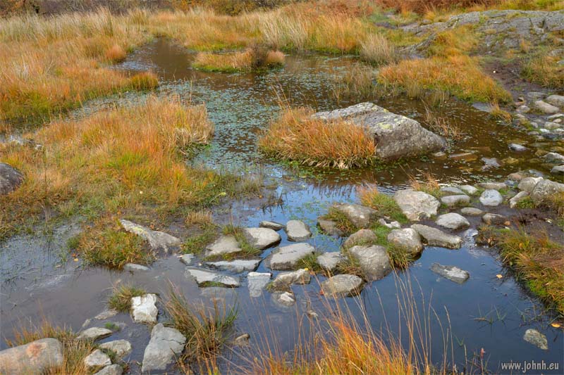 Langstrath Beck - Cumbria