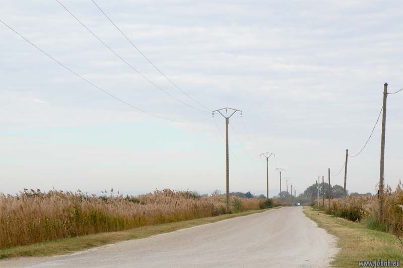 Camargue safari, Provence