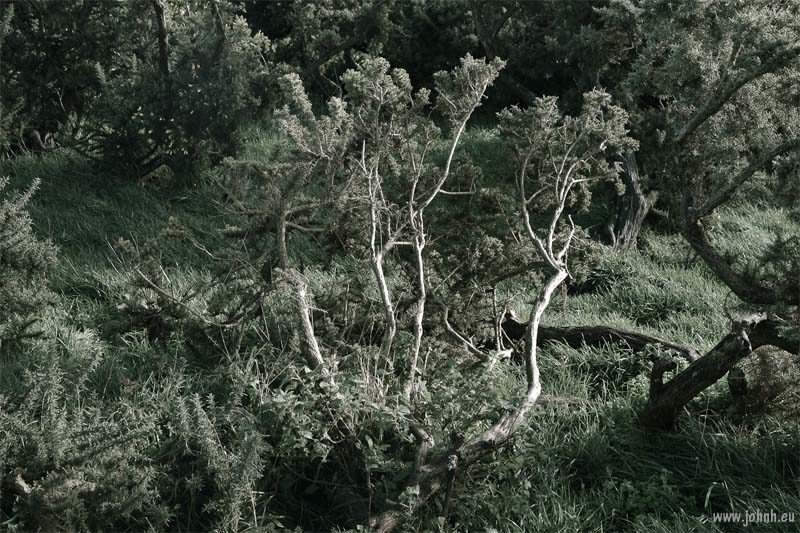 South Down National Park, Sussex