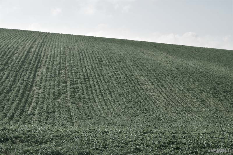 South Down National Park, Sussex