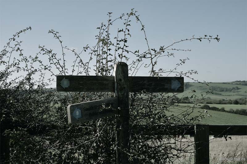 South Down National Park, Sussex
