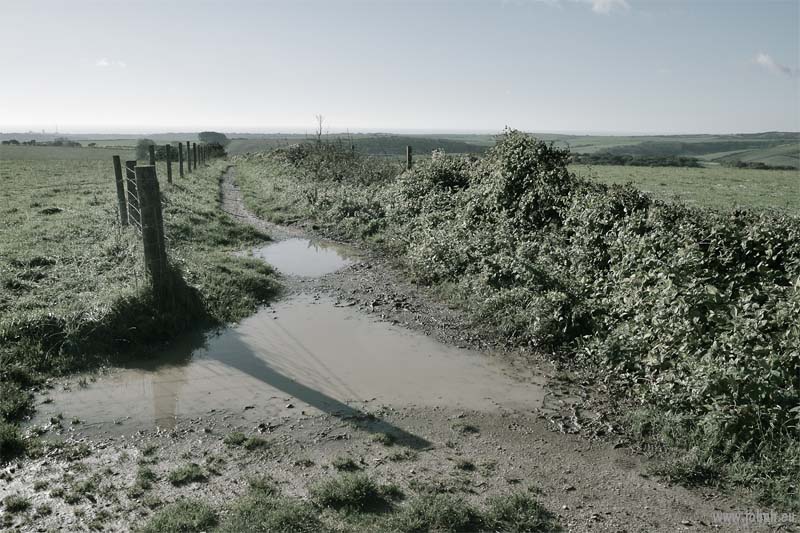 South Down National Park, Sussex