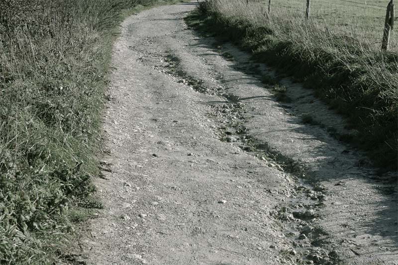 South Down National Park, Sussex