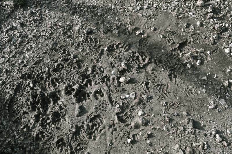 South Down National Park, Sussex