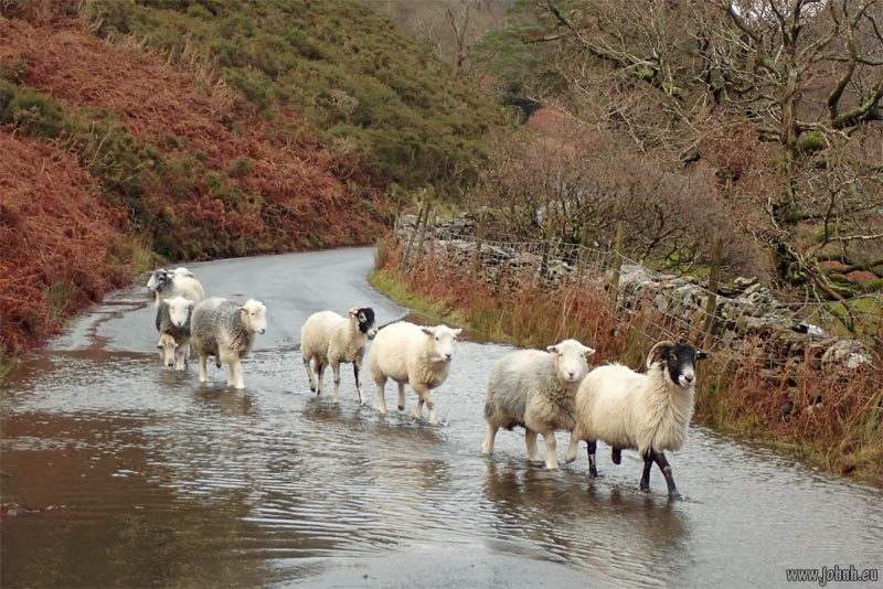 Buttermere, Cumbria