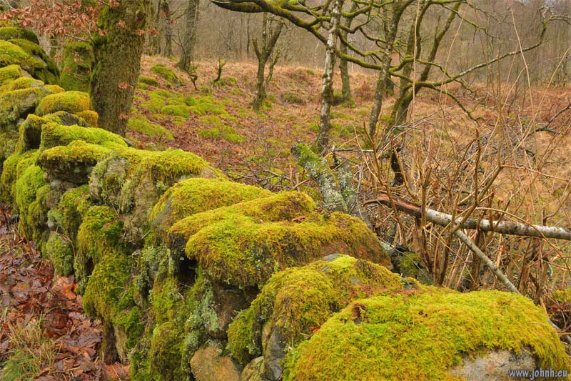 Dunnerdale, Cumbria