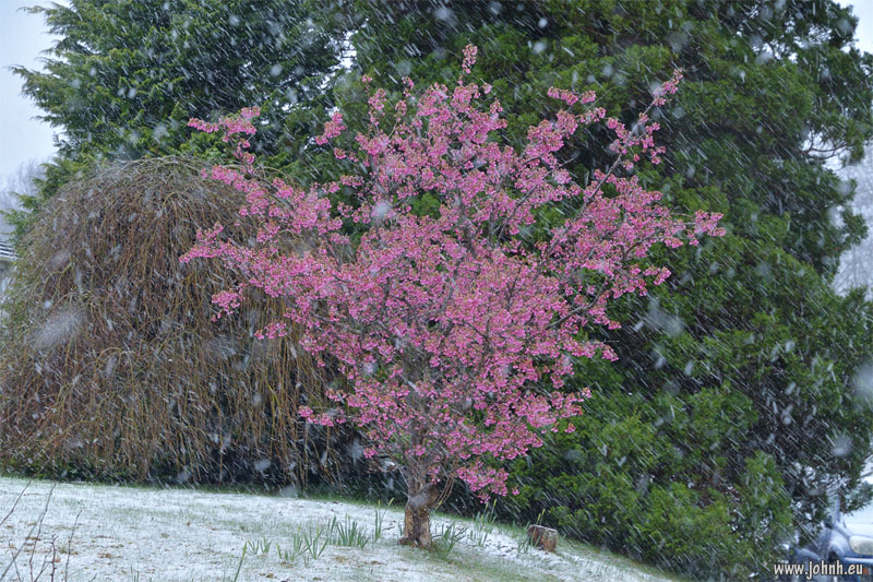 Blizzard in Keswick, Cumbria
