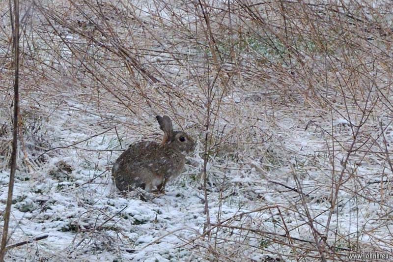 Blizzard in Keswick, Cumbria