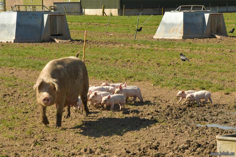 Southern Uplands, Scotland