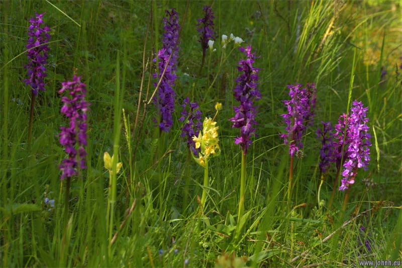 Les Oules du Diable, Valgaudémar