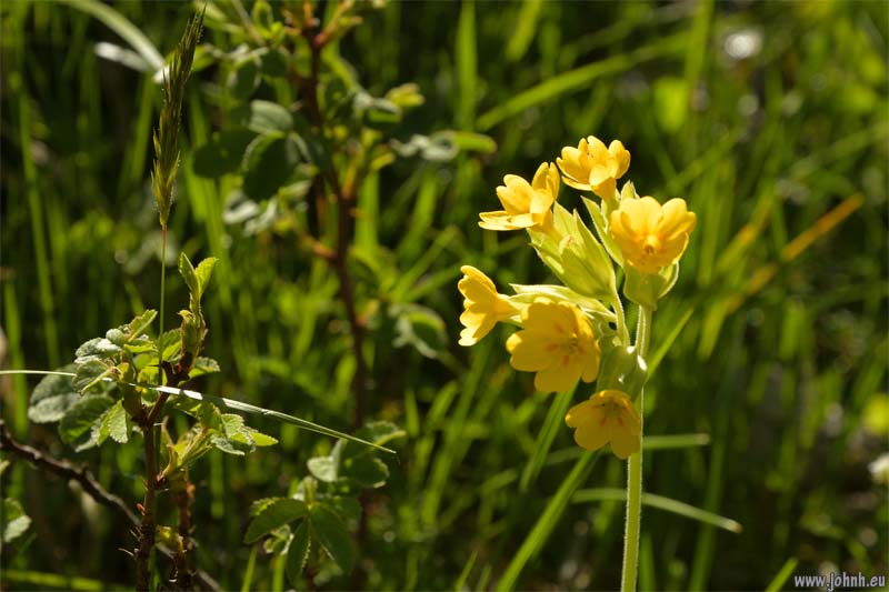 Les Oules du Diable, Valgaudémar