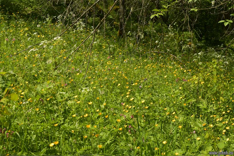 Les Oules du Diable, Valgaudémar