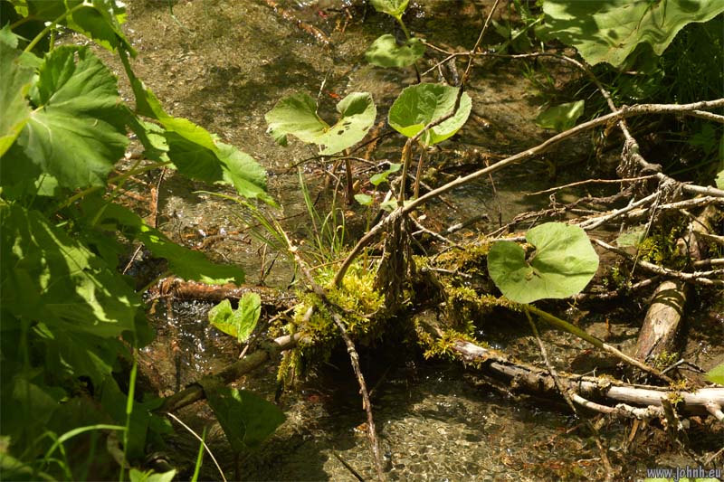 Les Oules du Diable, Valgaudémar