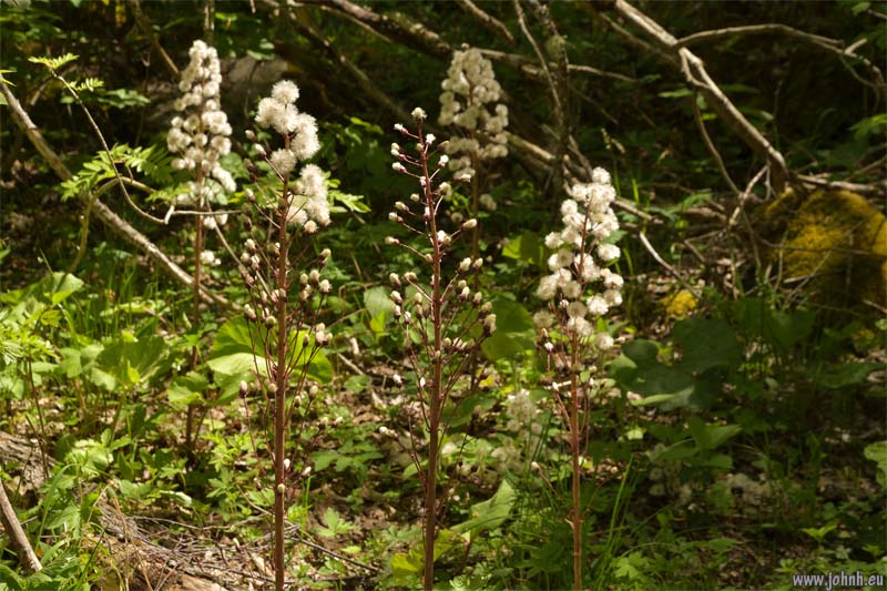 Les Oules du Diable, Valgaudémar
