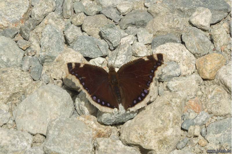 Les Oules du Diable, Valgaudémar