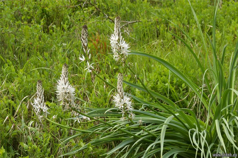 Les Oules du Diable, Valgaudémar