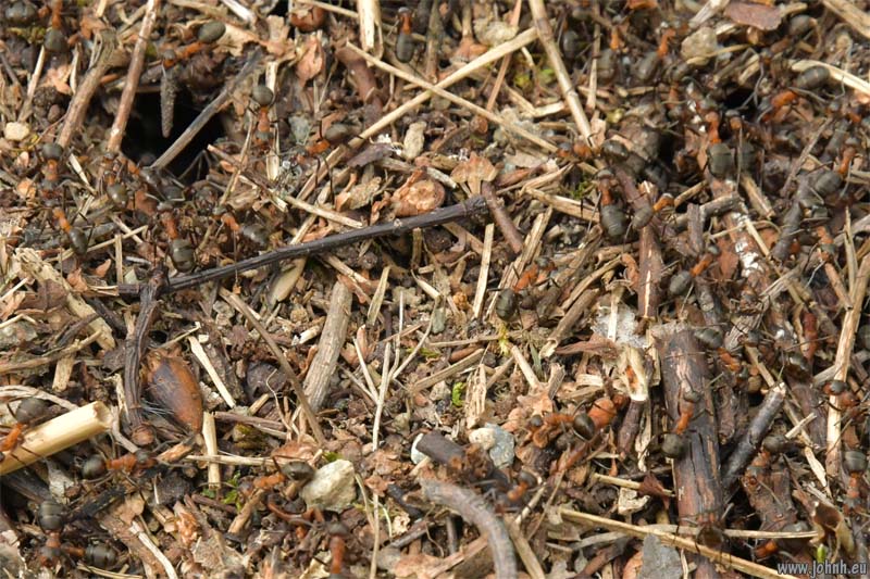 Les Oules du Diable, Valgaudémar