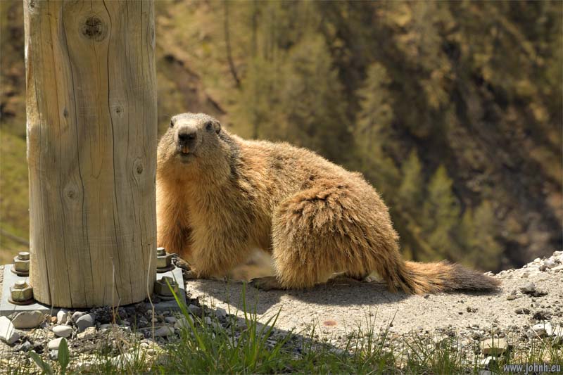 Alpes-de-Haut-Provence