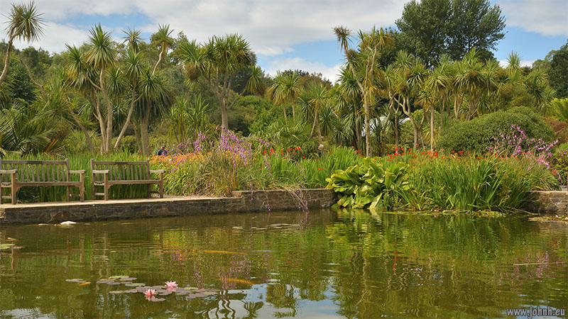 Logan Botanic Garden, Scotland 