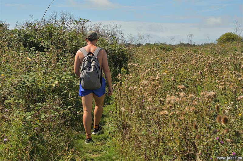Chest-high vegetation