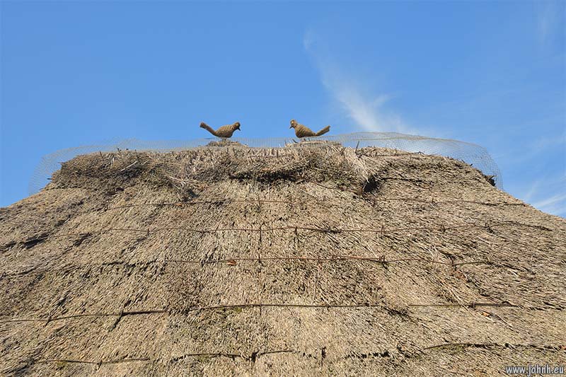 Thatch