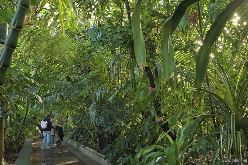 Palm House at Kew Gardens