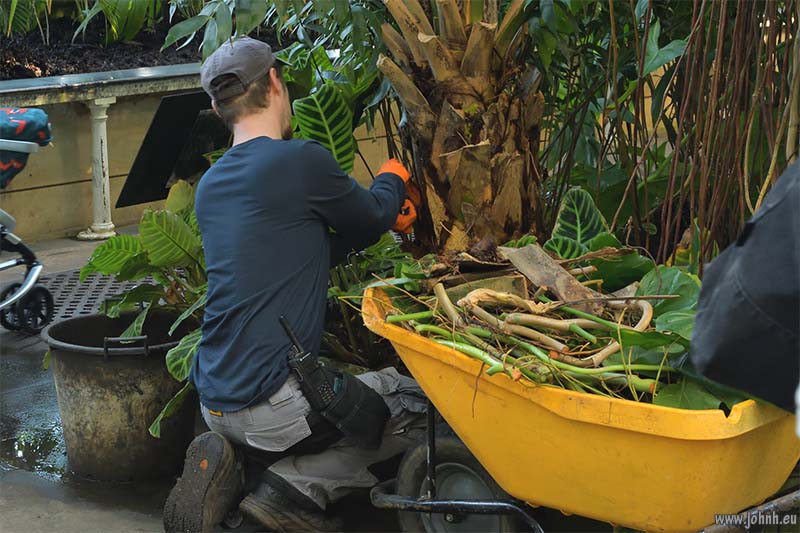 Palm House at Kew Gardens