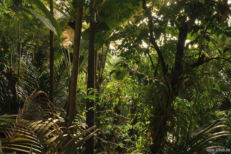 Palm House at Kew Gardens