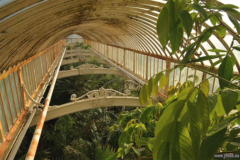 Palm House at Kew Gardens