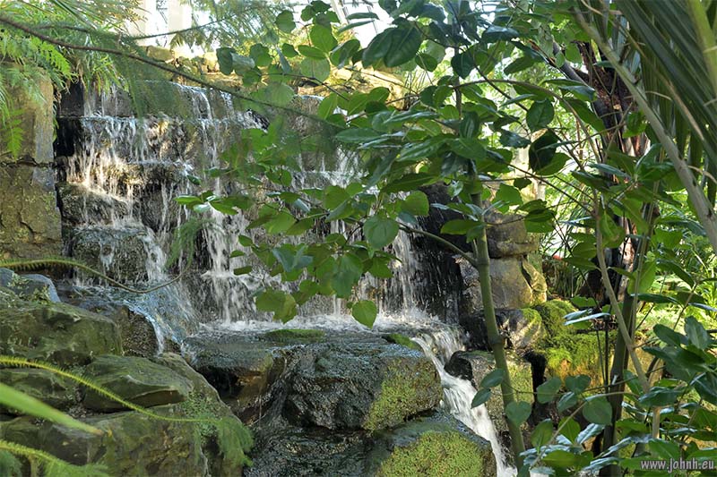 Palm House at Kew Gardens