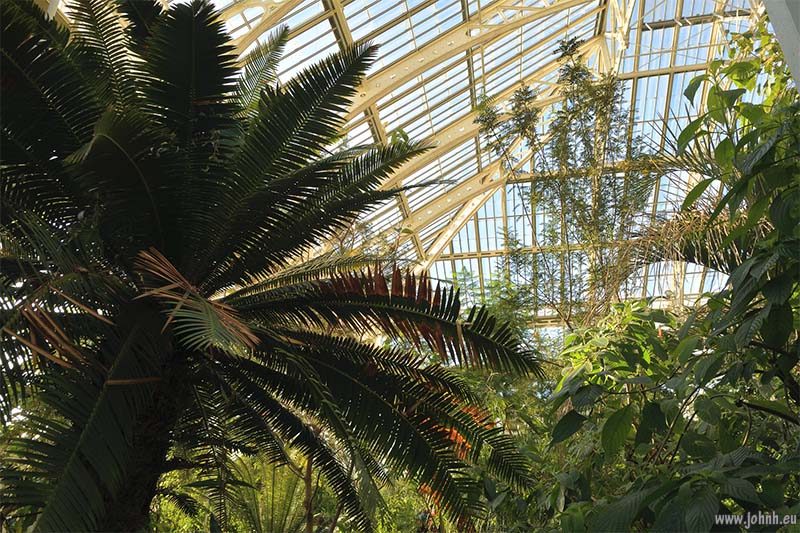 Palm House at Kew Gardens