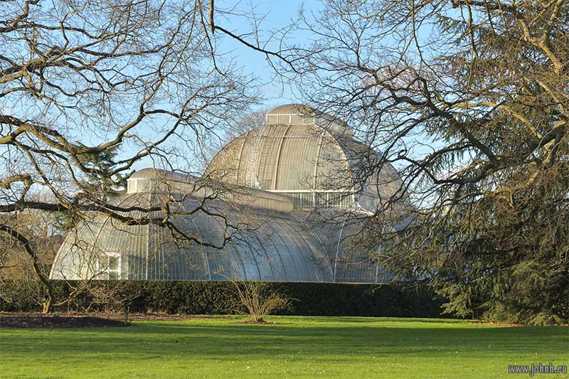 Palm House at Kew Gardens