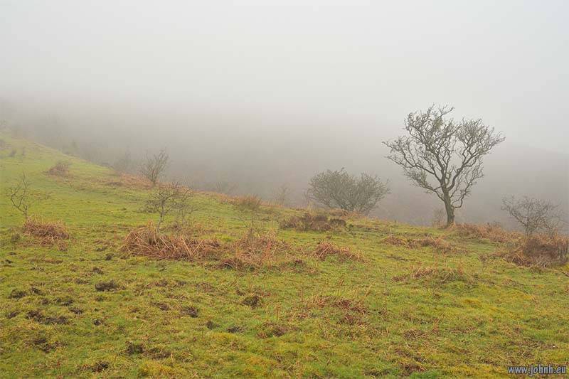 Exmoor National Park