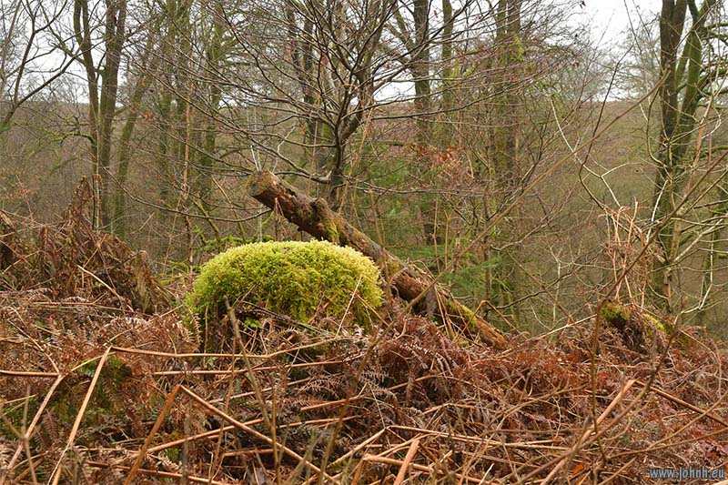 Exmoor National Park